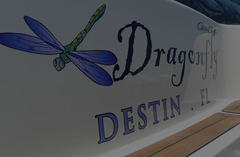 Dragonfly boat