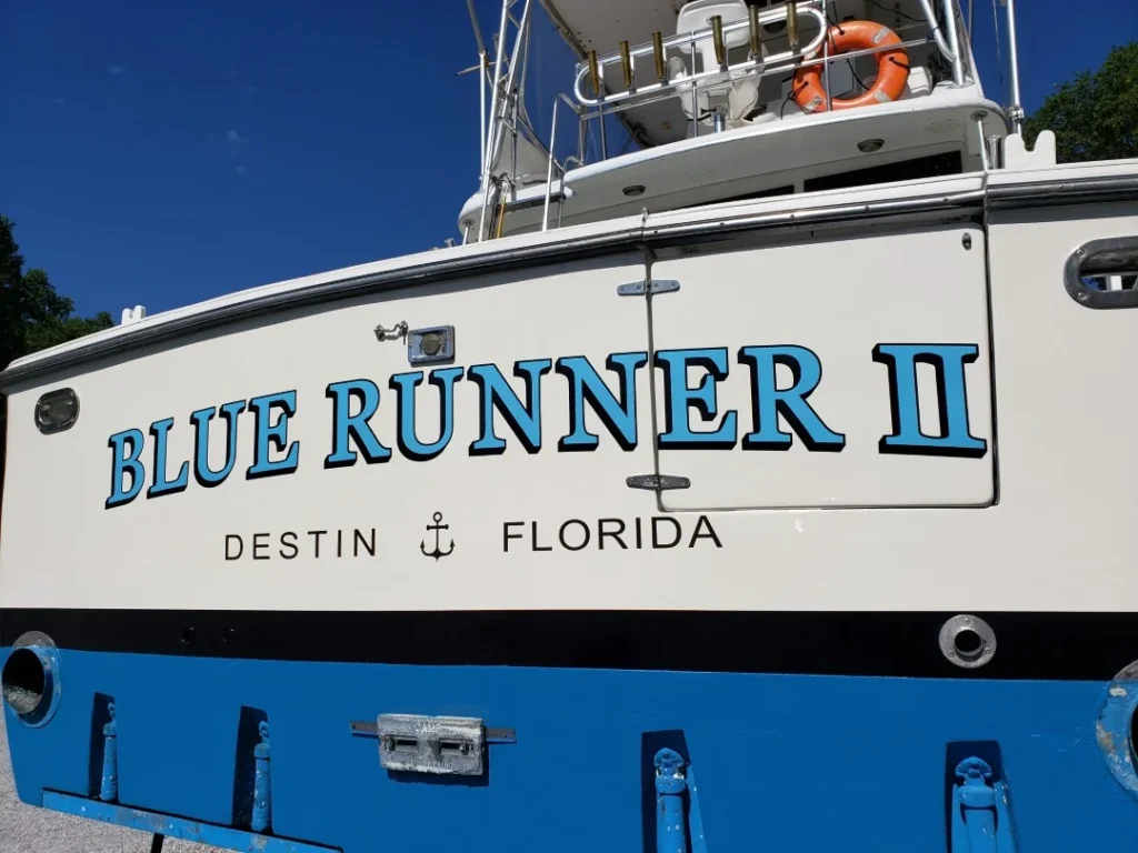 Blue Runner